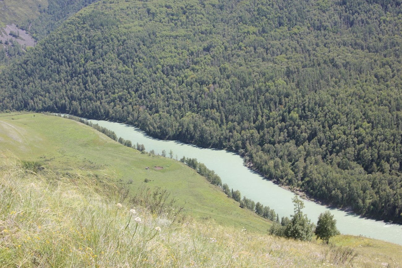 Окрестности лога Ядрушка, image of landscape/habitat.