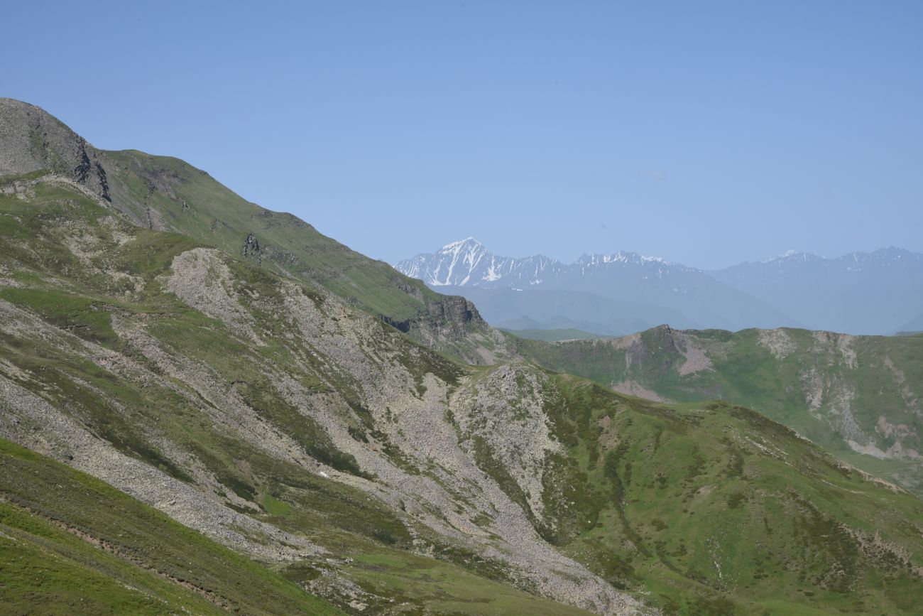 3 км от Цумандинского перевала, image of landscape/habitat.