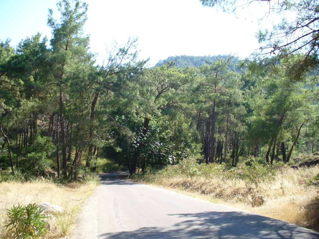 Кемер, image of landscape/habitat.