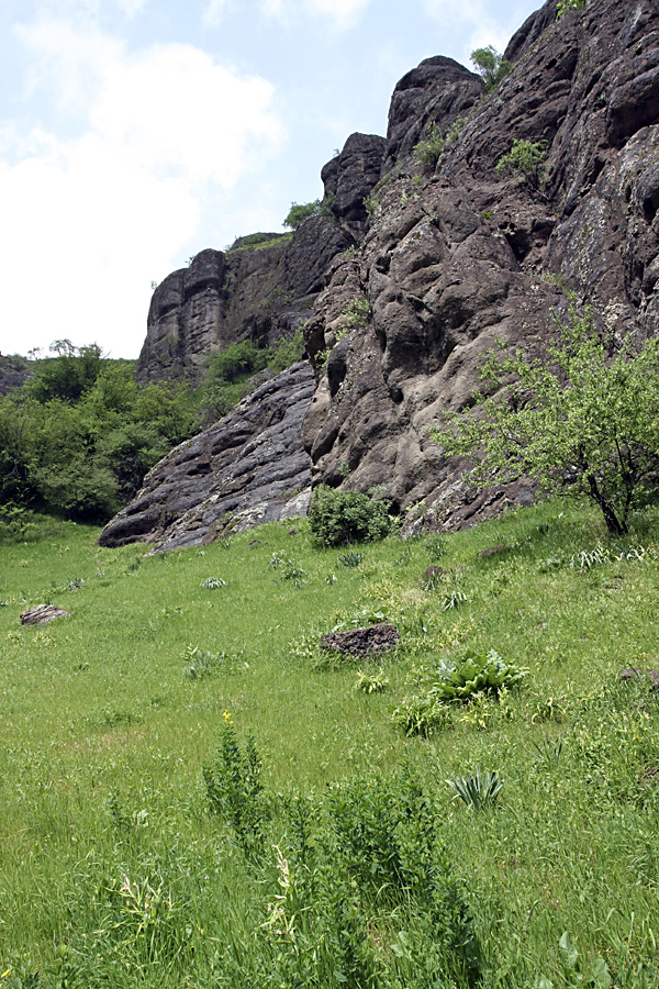 Ущелье Сингисафат, image of landscape/habitat.