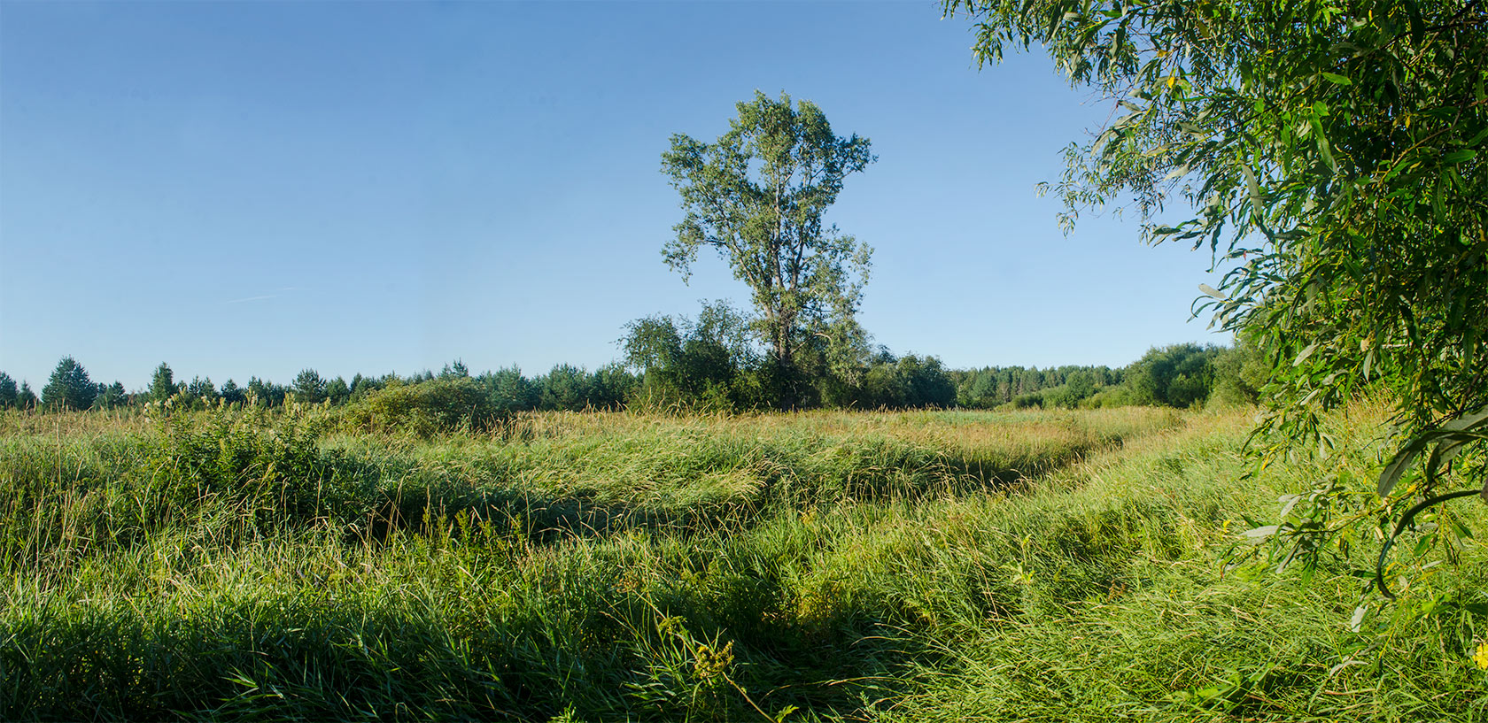 Окрестности Порубово, image of landscape/habitat.