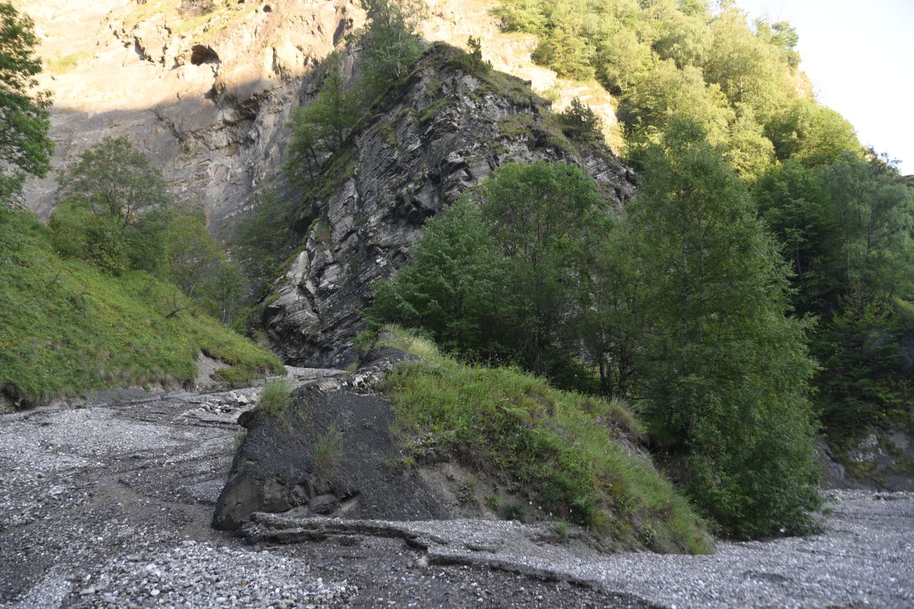 Левый приток реки Цесиахк, image of landscape/habitat.