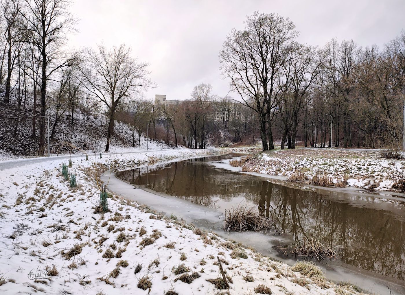 Центр Витебска, image of landscape/habitat.