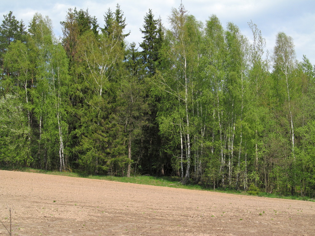 Сунчицы, image of landscape/habitat.