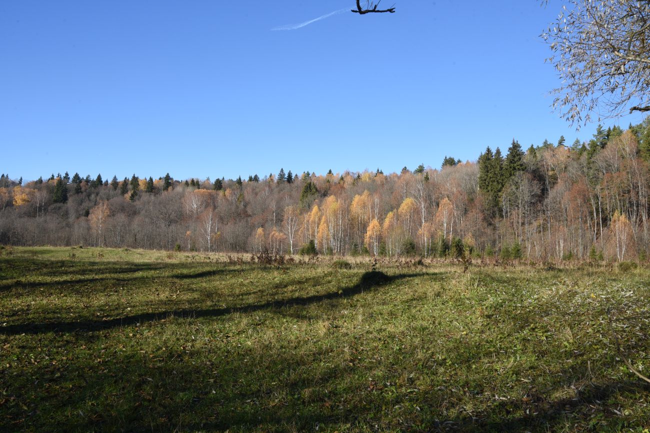 Окрестности деревни Семичёво, image of landscape/habitat.