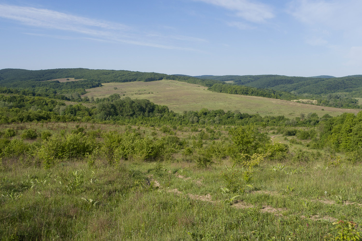 Красный Псебепс, image of landscape/habitat.