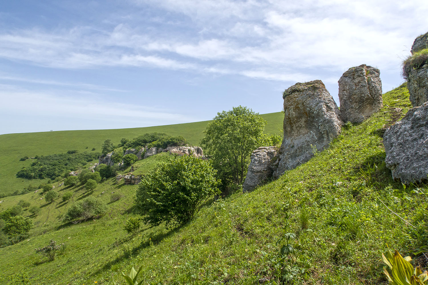 Балка Клевцова, image of landscape/habitat.