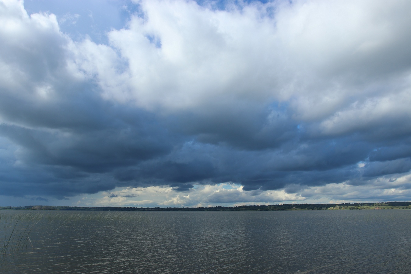 Езерище и окрестности, image of landscape/habitat.