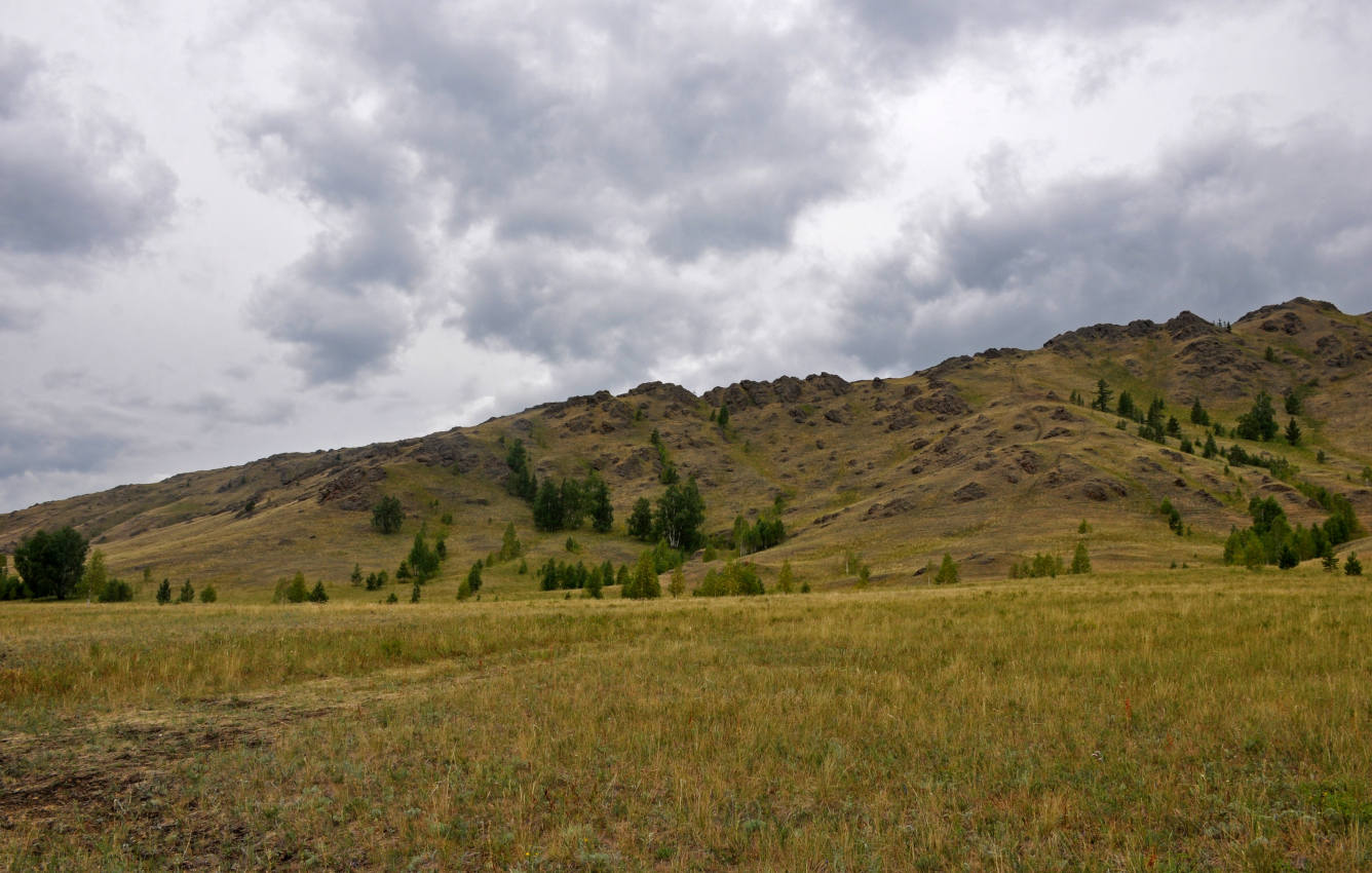 Хребет Нурали, image of landscape/habitat.