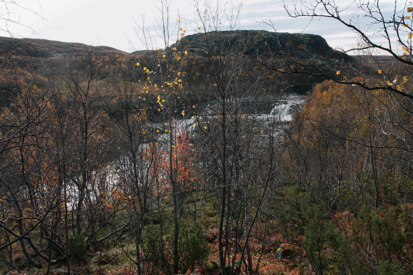 Мельничные водопады, image of landscape/habitat.