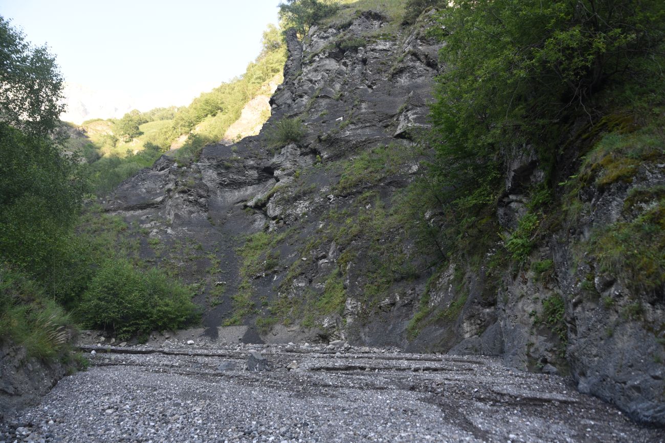 Левый приток реки Цесиахк, image of landscape/habitat.