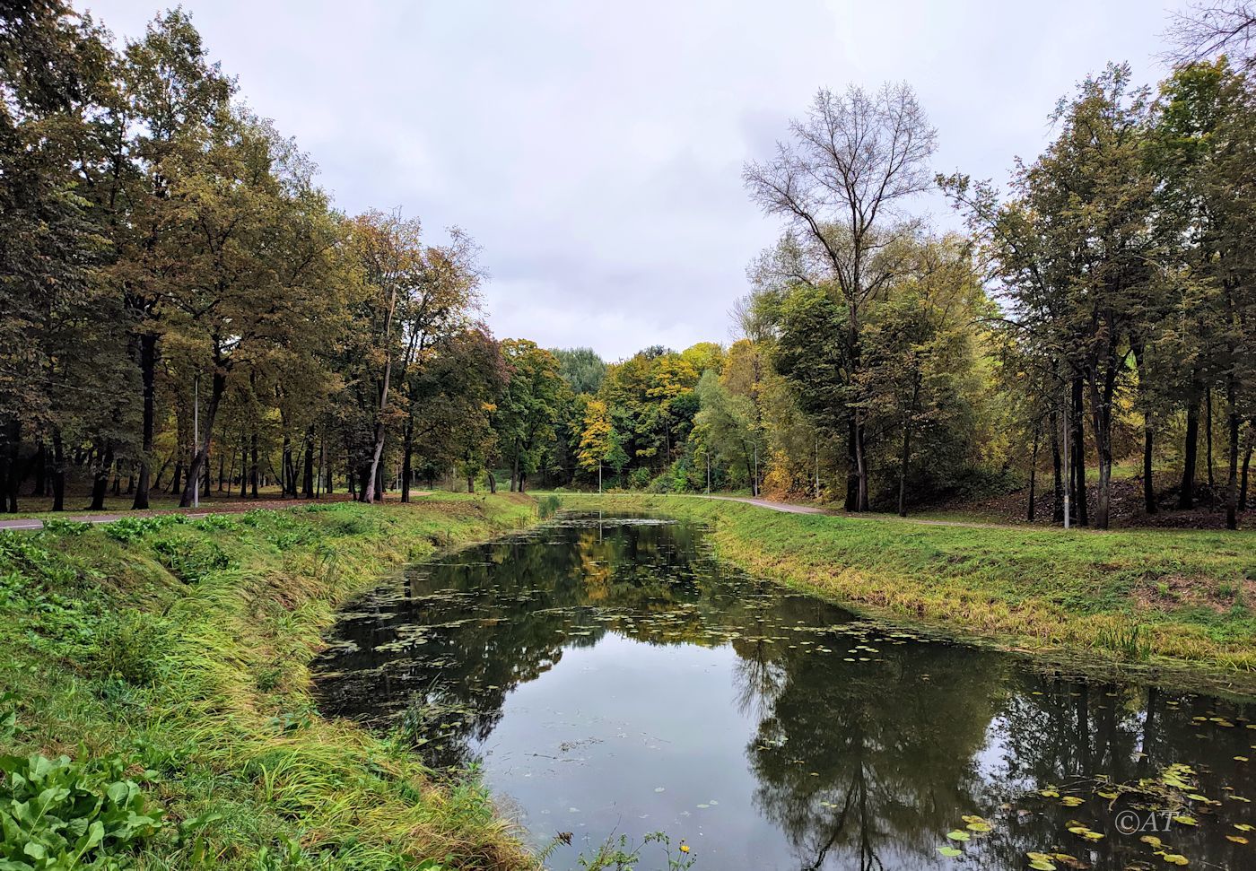 Центр Витебска, image of landscape/habitat.