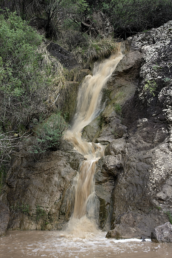 Ущелье Сингисафат, image of landscape/habitat.