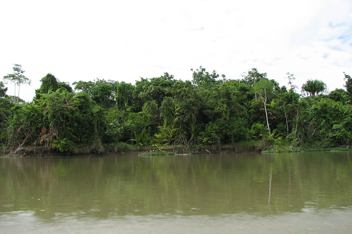 Сепик, image of landscape/habitat.