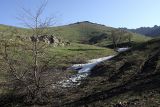 Горы Сартур, image of landscape/habitat.