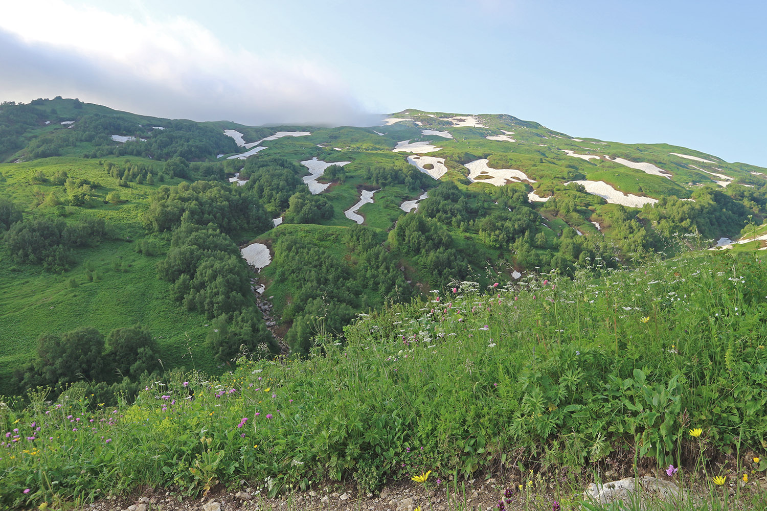 Юго-восточный отрог Оштена, image of landscape/habitat.