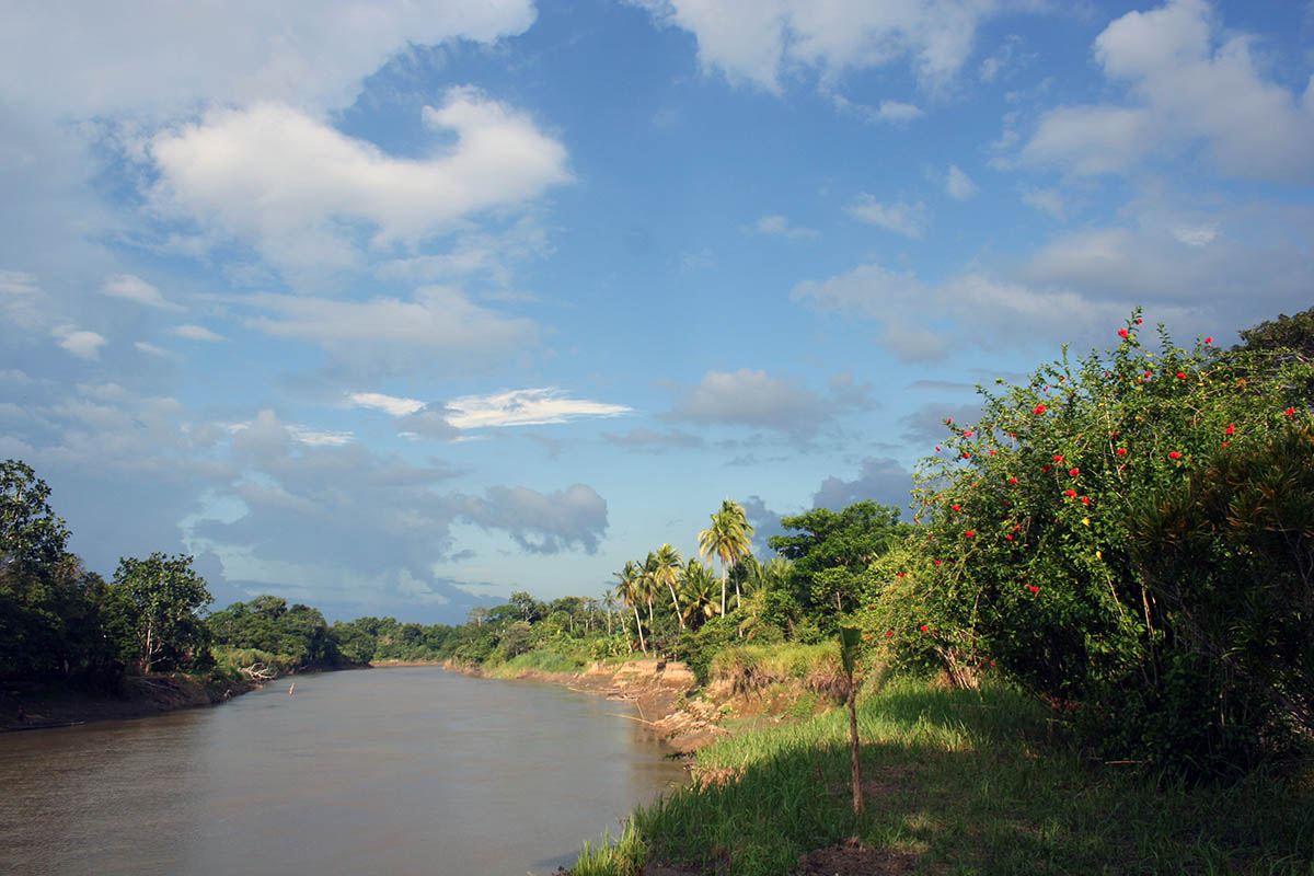 Сепик, image of landscape/habitat.