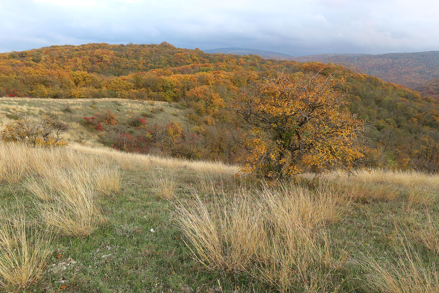 Щель Шестая, image of landscape/habitat.