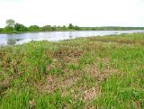 Бассейн Обноры, image of landscape/habitat.