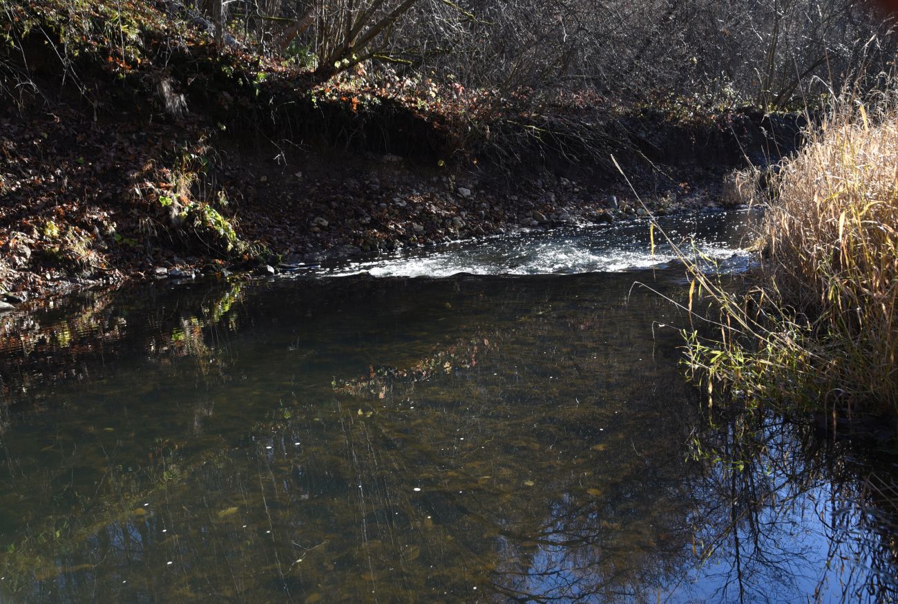 Окрестности деревни Семичёво, image of landscape/habitat.