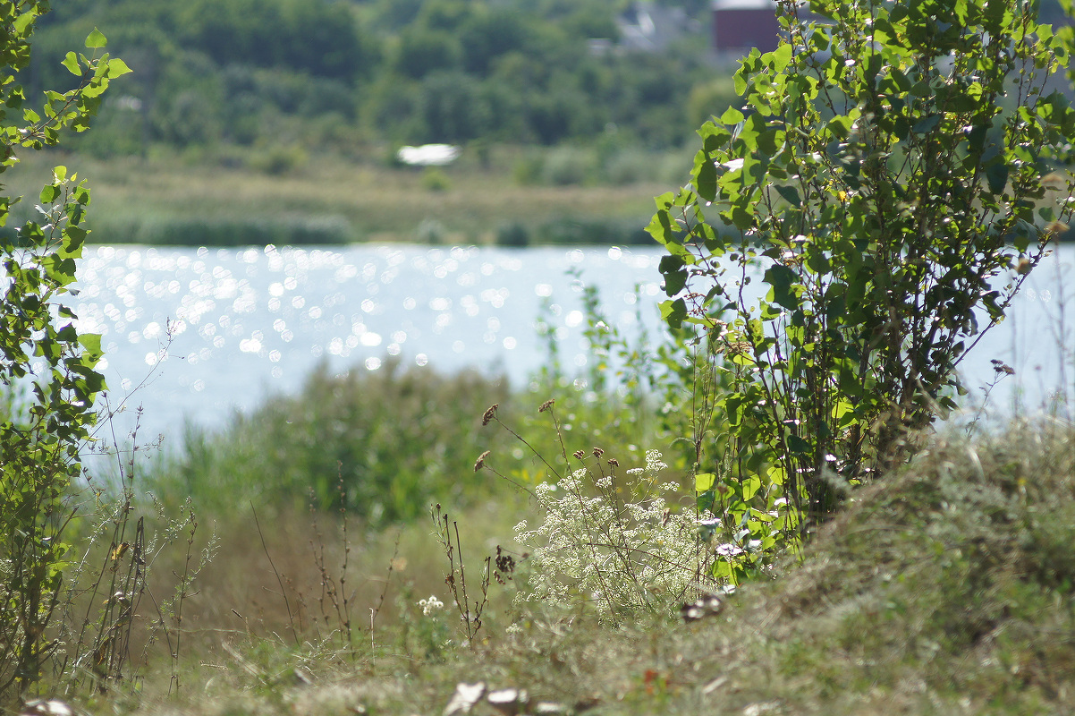 Донецкое море и окрестности, image of landscape/habitat.