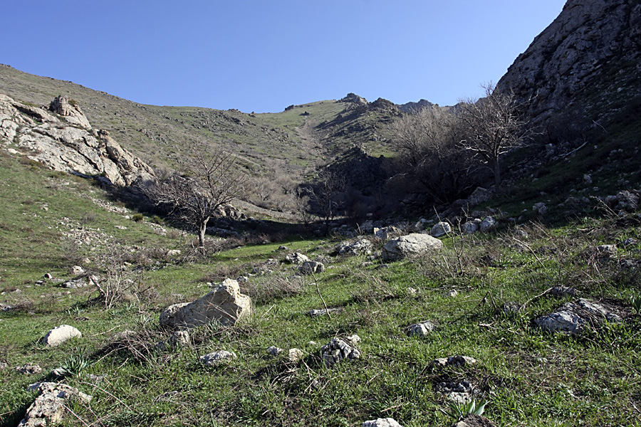 Горы Сартур, image of landscape/habitat.