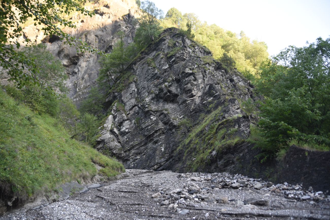 Левый приток реки Цесиахк, image of landscape/habitat.