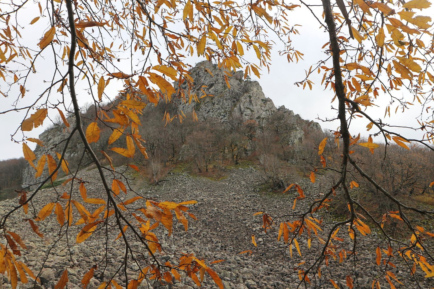 Гора Индюк, image of landscape/habitat.