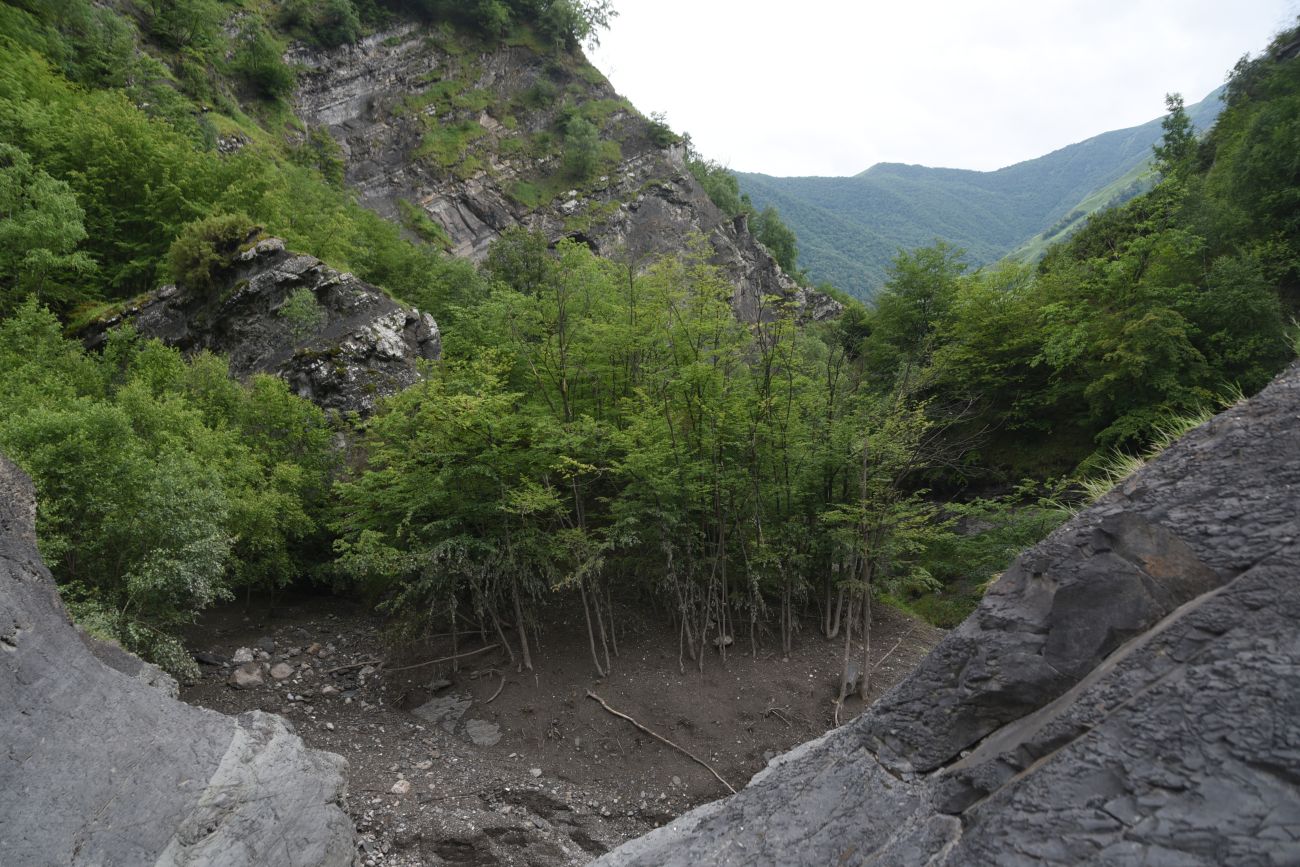 Левый приток реки Цесиахк, image of landscape/habitat.