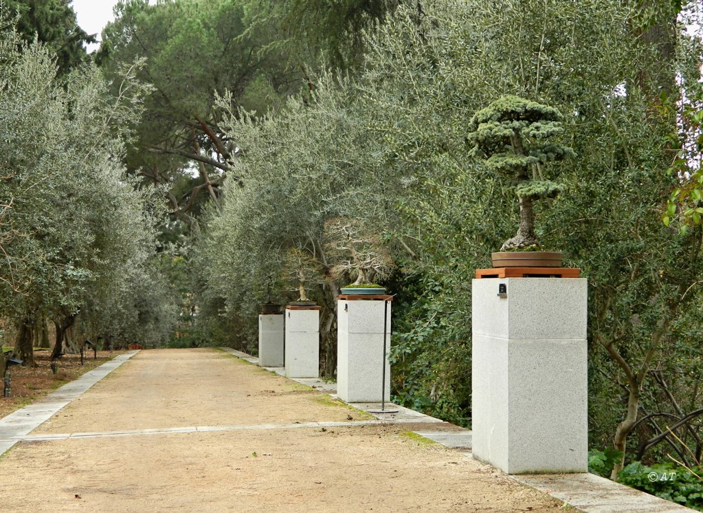 Real Jardín Botánico de Madrid, изображение ландшафта.