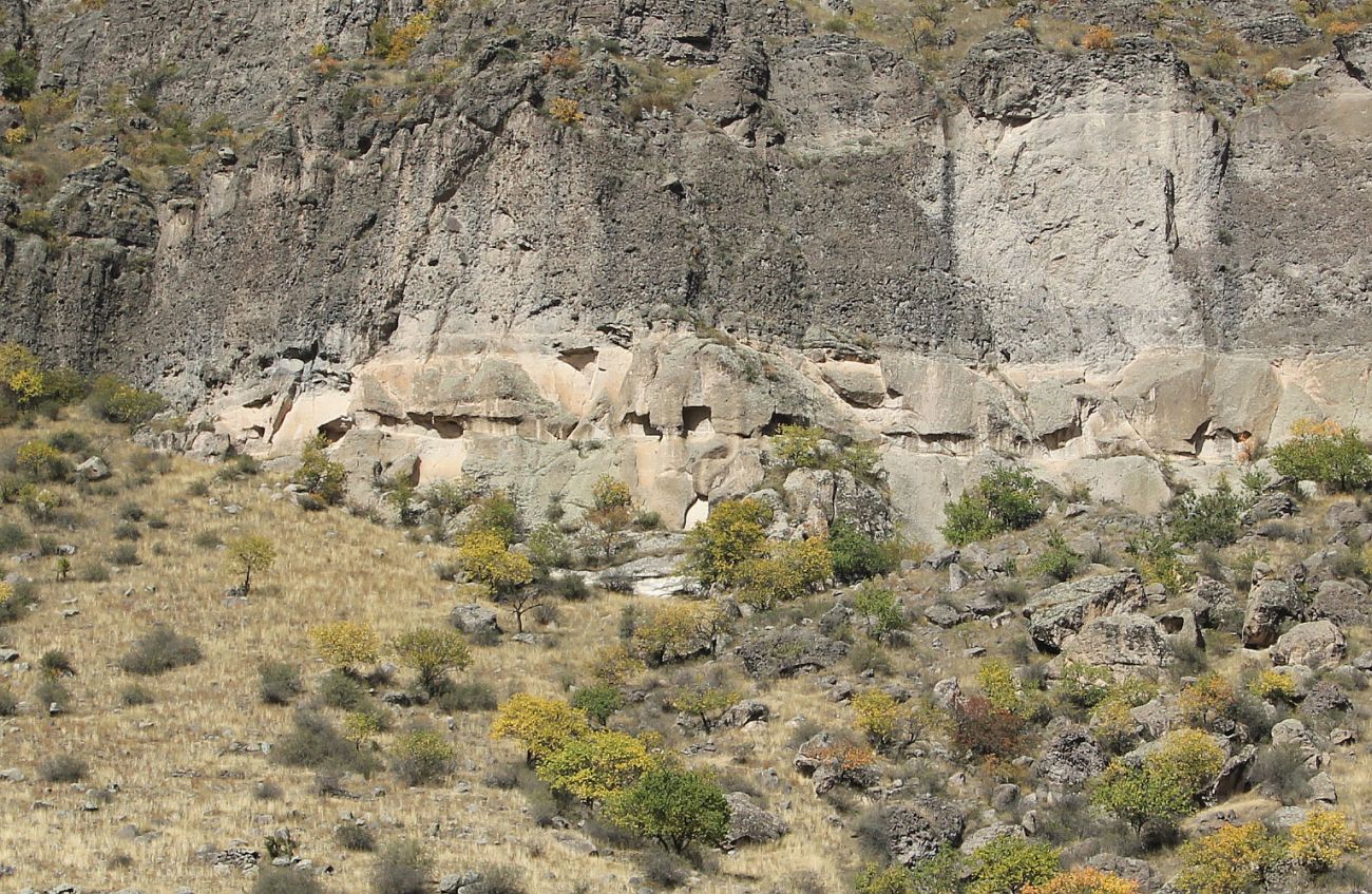 Пещерный монастырь Вардзиа, image of landscape/habitat.