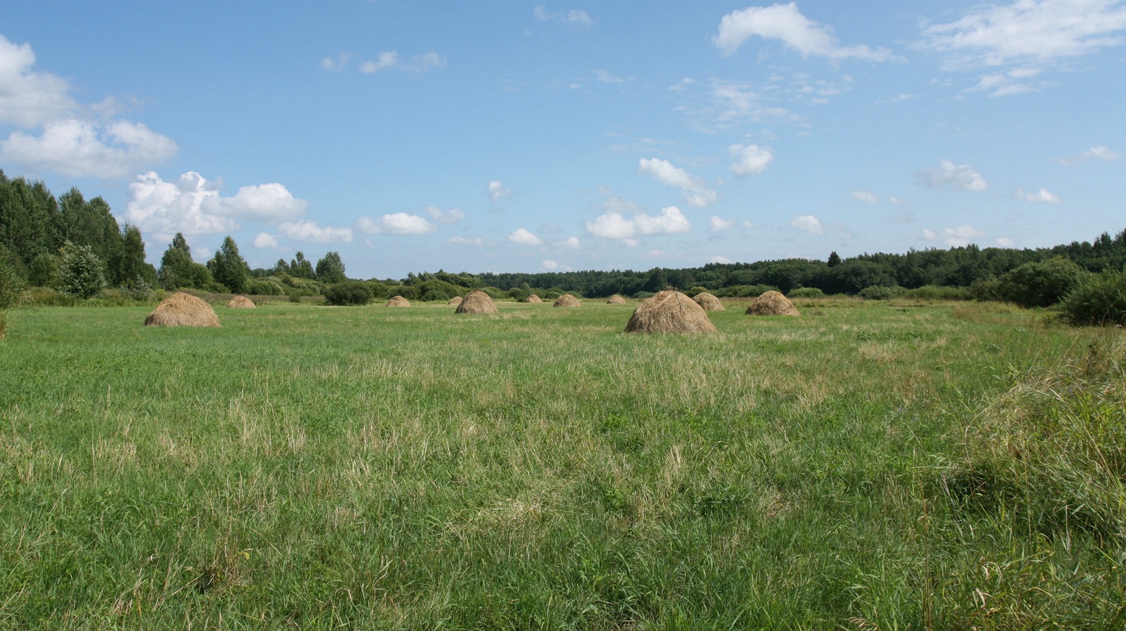 Филатова Гора, image of landscape/habitat.