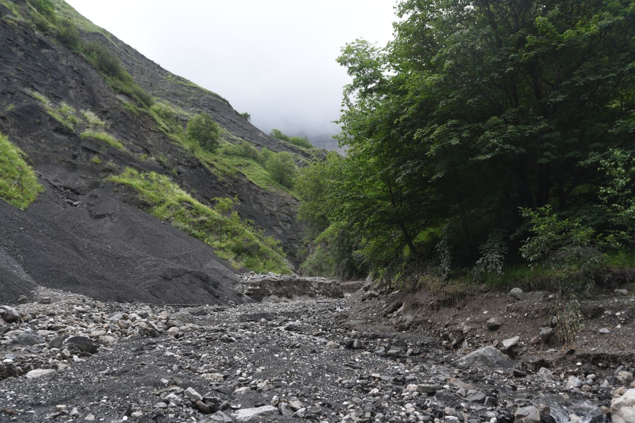 Левый приток реки Цесиахк, image of landscape/habitat.