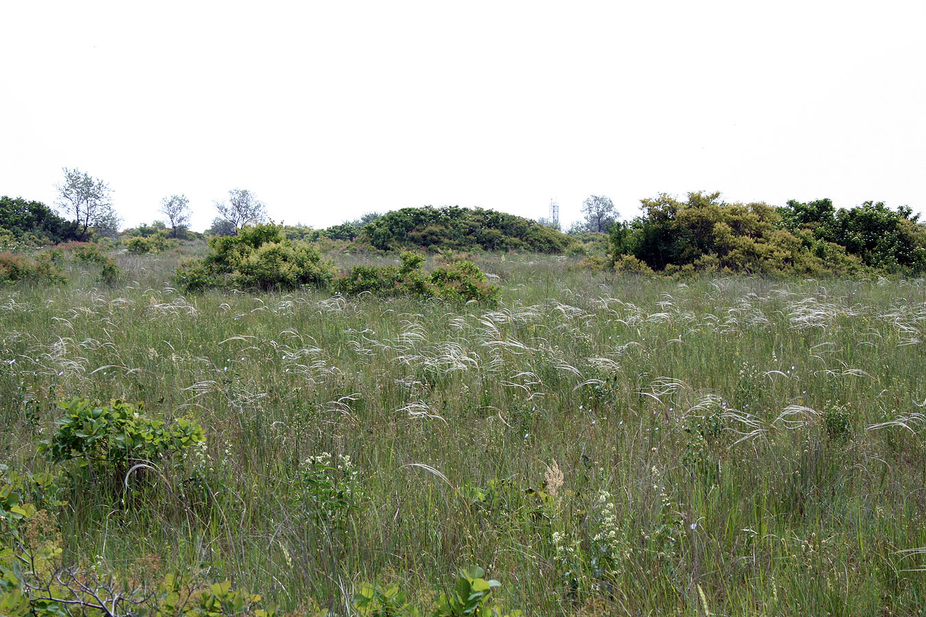 Тендровский маяк, image of landscape/habitat.