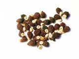 Смотреть изображение Iris ewbankiana