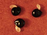 Corydalis bracteata. Семена с сочными присемянниками (диаметр около 2 мм). Мурманск, в культуре. 09.06.2014.