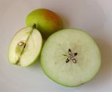 Смотреть изображение Malus domestica