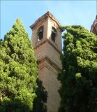 Cupressus sempervirens