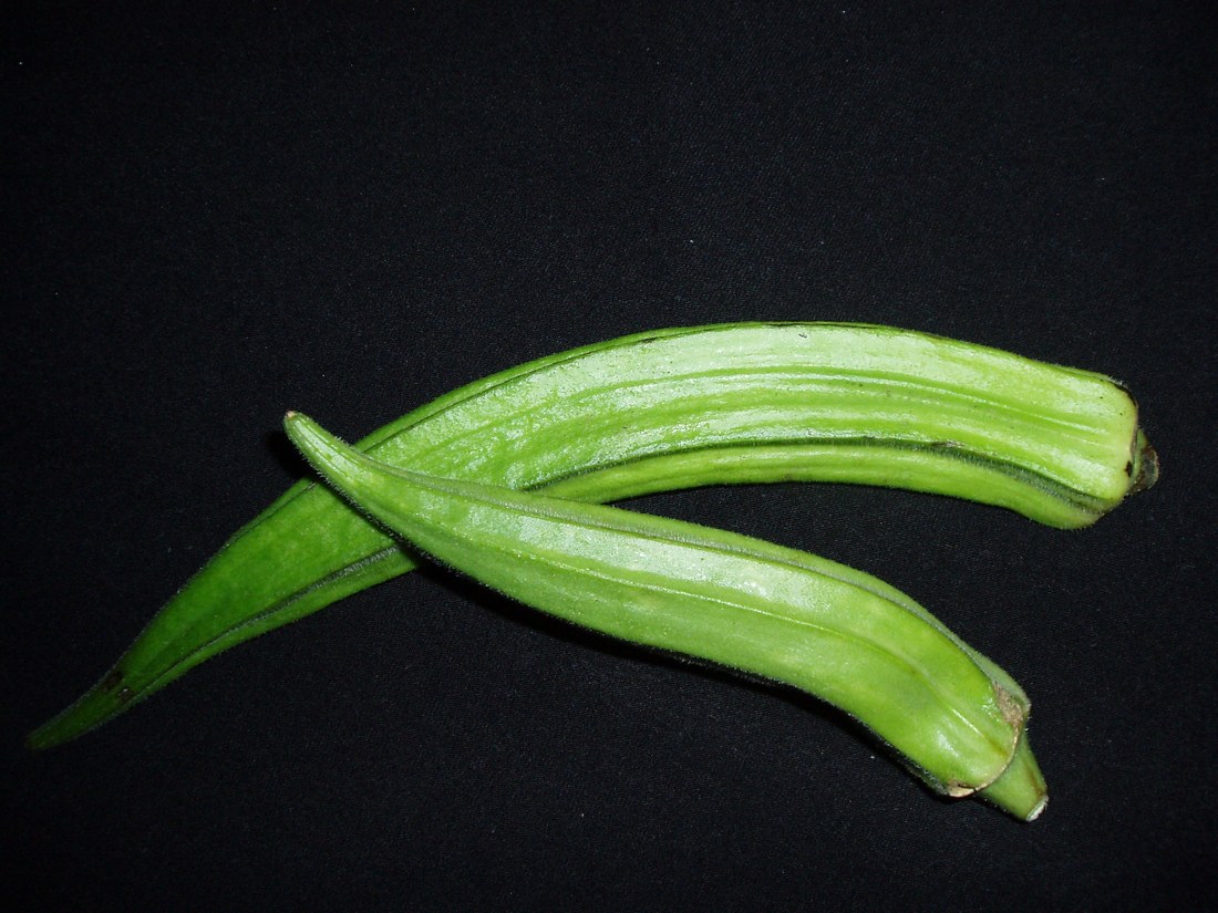 Image of Hibiscus esculentus specimen.