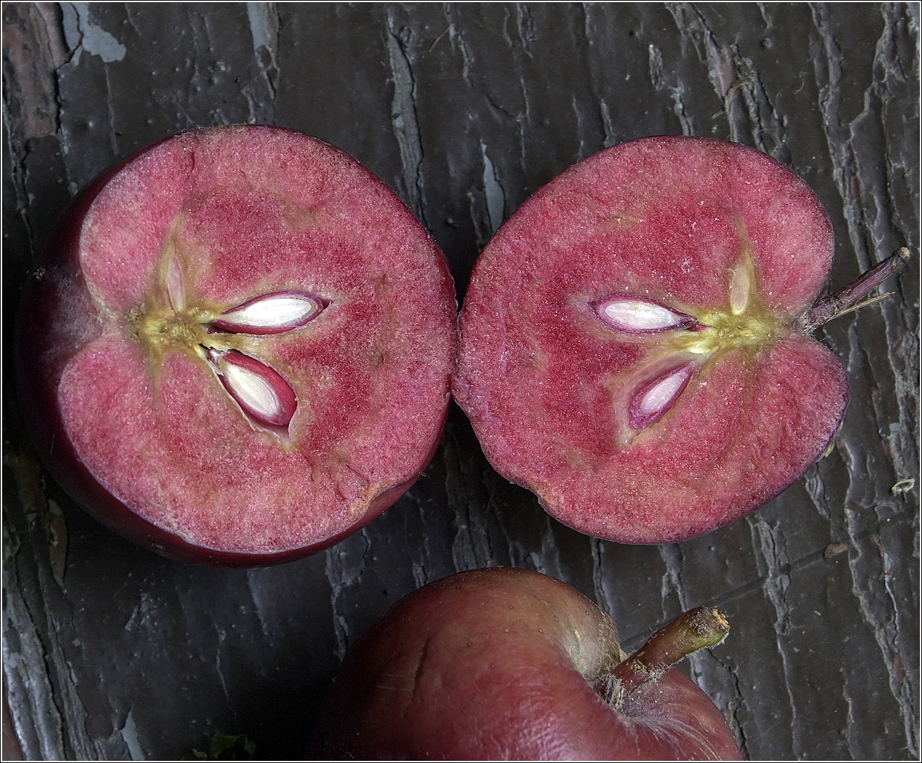 Image of Malus niedzwetzkyana specimen.