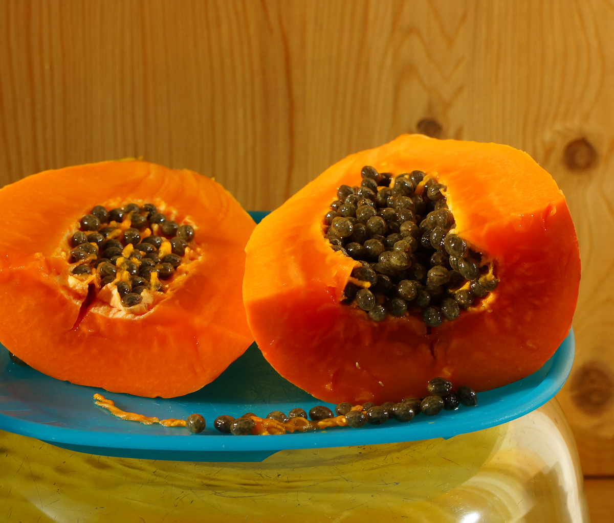 Image of Carica papaya specimen.