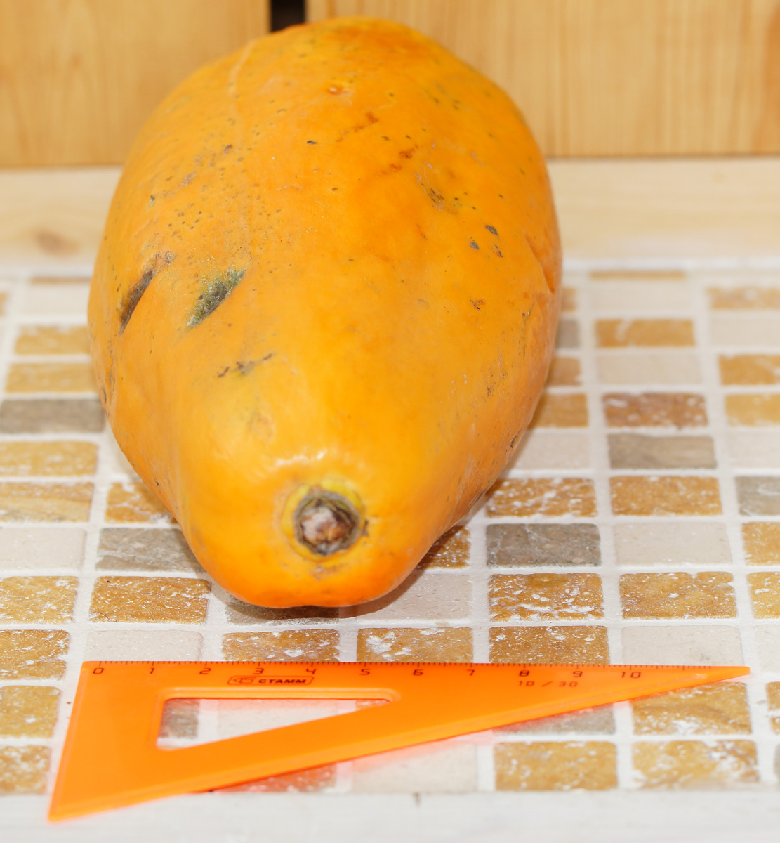 Image of Carica papaya specimen.