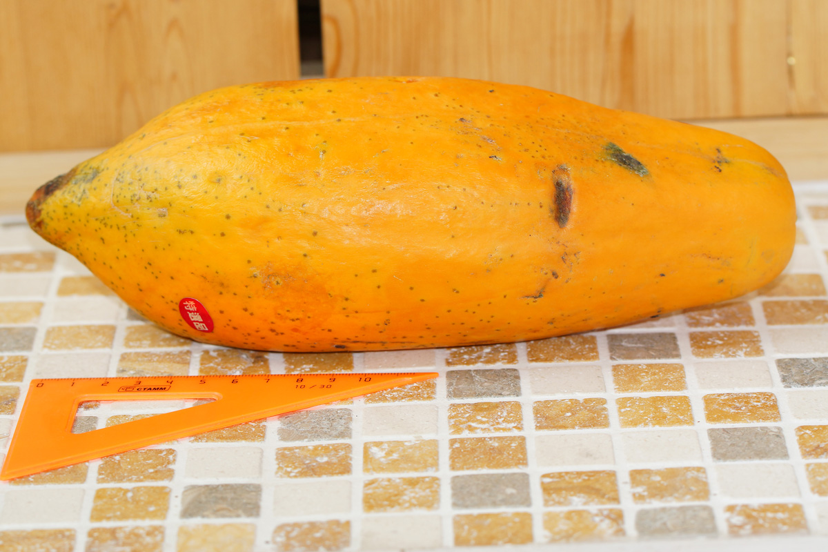 Image of Carica papaya specimen.