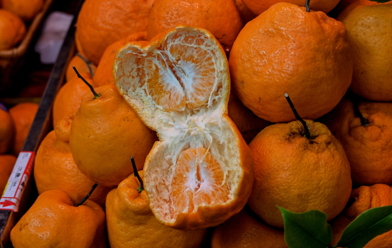 Image of genus Citrus specimen.