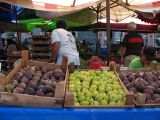 Ficus carica