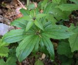 Смотреть изображение Paris incompleta