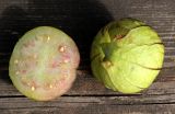 Смотреть изображение Physalis ixocarpa
